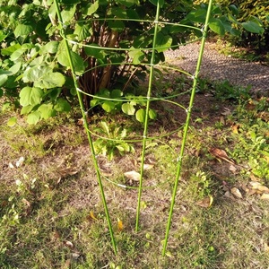 <span class=keywords><strong>Support</strong></span> de plante de jardin enduit Pe <span class=keywords><strong>support</strong></span> de fleur de piquet de jardin <span class=keywords><strong>pour</strong></span> <span class=keywords><strong>plantes</strong></span> grimpantes - Product Image 3