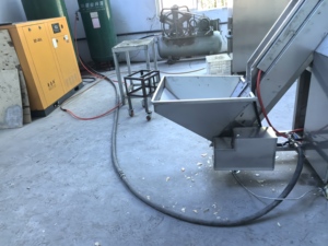 Attrezzatura Commerciale a Due Tracce per Pelatura Continua e Taglio delle Radici delle Cipolle per Lavorazione di Verdure - Product Image 5