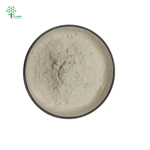 Polvo de extracto de hierbas de Garcinia Cambogia 50% 60% HCA ácido hidroxicítrico - Product Image 3