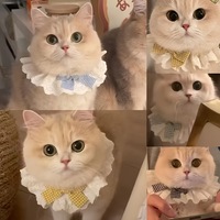 Collier pour chat mignon, foulard pour animaux de compagnie, bavoir, serviette anti-bave pour chien, accessoires, nœud papillon à carreaux style princesse, garniture en dentelle de polyester