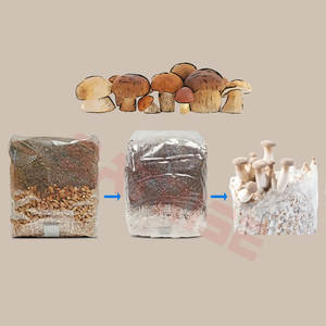 Bolsas de Cultivo de Hongos Cuadradas de Polipropileno (PP) Transpirable de 0.2 Micras con Puerto de Inyección Autocurable - Product Image 3