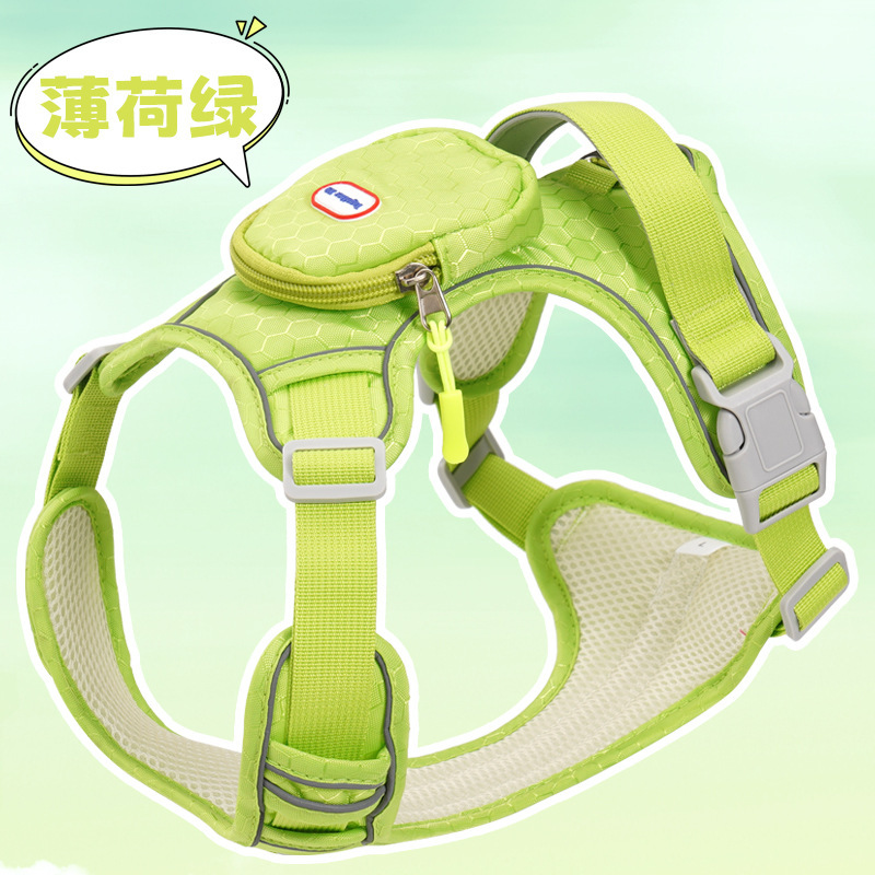 Wilderness Style Backpack (Mint Green)