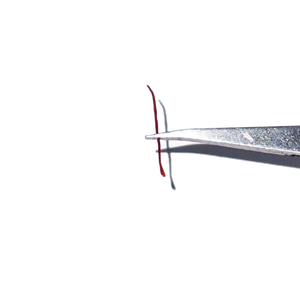Filaments de safran de qualité supérieure de grade 1 pour les épices culinaires <span class=keywords><strong>et</strong></span> les produits naturels de bien-être - Product Image 3