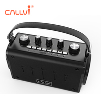 Callvi W7 gitar için taşınabilir UHF kablosuz Karaoke mikrofonlu hoparlör amplifikatör