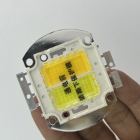 Perles de lampe LED 200W-Blanc froid et blanc chaud (30 - 34V) pour LED COB Par, Flood, Spotlight et Lampada Lighting
