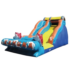 Toboggan gonflable géant commercial à sec, modèle Big Kahuna Red Fishes, pour enfants et adultes, idéal pour le jardin - Vente chaude - Product Image 4