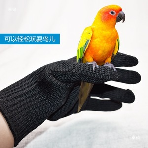 Gants de protection pour la manipulation des perroquets, gants pour perroquets tigrés et pivoineux, accessoires pour oiseaux, gants en fil d'acier - Product Image 1