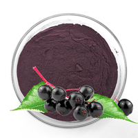 Poudre d'extrait de sureau d'anthocyanidine d'approvisionnement d'usine extrait de sureau noir 15% 25% anthocyanidines