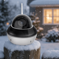 Caméra de sécurité PTZ WiFi sans fil avec projecteur, vision nocturne, détection de mouvement, étanche IP66, alarme pour entreprise et magasin