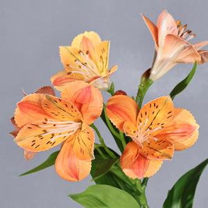 Fleurs de lys artificielles Meng Jie en plastique à six pétales pour la décoration de la maison et les accessoires de mariage - Product Image 4