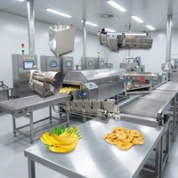 Ligne de production de frites de bananes, machine à chips de pommes de terre