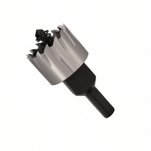 Hojas de sierra excéntricas HSS E para taladrar madera y metal, 12mm, 16mm, 20mm, 25mm, 32mm, 40mm, 50mm, 60mm, 70mm, 80mm, 90mm, 100mm - Product Image 2