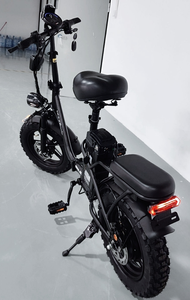 Offre Spéciale 16 pouces cadre en acier à haute teneur en carbone Style 48V 800W batterie au Lithium à grande vitesse frein hydraulique arrière vélo pliant - Product Image 2