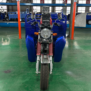 Promoción en stock: Motocicleta <span class=keywords><strong>de</strong></span> 250cc, 3 ruedas, gran capacidad <span class=keywords><strong>de</strong></span> subida, triciclo <span class=keywords><strong>de</strong></span> carga a gasolina para <span class=keywords><strong>transporte</strong></span> acuático en África - Product Image 5