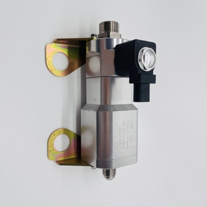 Regulador de Gas Natural Tqj-4 Lng con Control Manual para Vehículos - Product Image 6