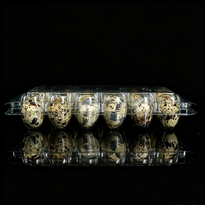Barquettes à œufs <span class=keywords><strong>en</strong></span> plastique transparent, capacité pour œufs de caille, design empilable pour un stockage et un transport sécurisés pour les fermes, les épiceries et l'usage domestique - Product Image 5