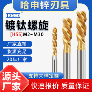 Hashen Machos de Roscar Métricos Sin Restos de Zinc M2.5 M3 M4 M5 M6 M8 M10 M12 M30 Recubiertos de Titanio para Metales No Ferrosos - Product Image 4