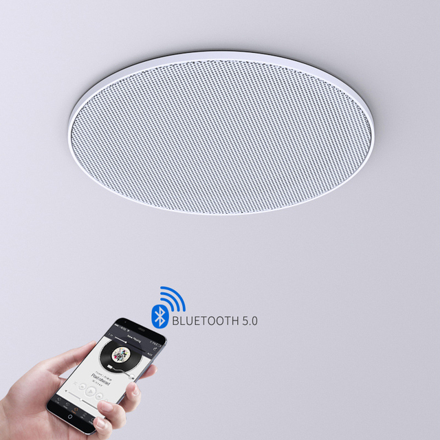 2026 High Quality Background Music Amplifier BLE Wireless Speaker Wireless Ceiling Master Speaker BLE Wireless Ceiling Master