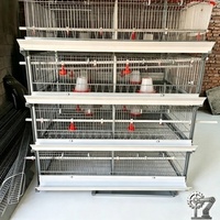 Cage de couvaison pour poussins de type H, design vertical peu encombrant, 1 ensemble de système d'alimentation automatique pour élevage avicole