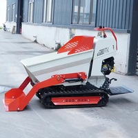 Mini-Raupenlader mit 500kg-1200kg Tragfähigkeit, Neuer Hydraulischer Benzin-Kipplader mit Pumpenmotor für Städtische Nutzung