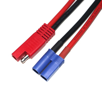 Kabel Pengisi Daya Listrik Konektor SAE 2 Pin Merah Cepat Sambung ke Steker EC5 10AWG PVC 300mm