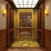 Ascensore per Passeggeri ScheinLift SL-031, Design Moderno in Acciaio Inox, Uso Residenziale (Appartamenti, Hotel, Ville)