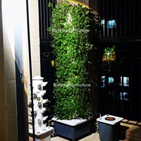 Tour de Jardin Verticale Brevetée Hydroponique et Aéroponique pour la Culture des Légumes, Fruits et Fraises