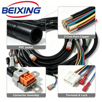 Harnais de câblage coaxial pour voiture BeiXing A00077, gaine en PVC, 2 conducteurs, cuivre pur, indice de protection IP67, 12V, pour Ford F150 4 portes 2009-2014