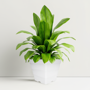 Maceta superventas para decorar el hogar y el jardín, maceta cuadrada ondulada con plástico de alta calidad - Product Image 1