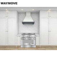 Armoires de cuisine WAYMOVE en acier inoxydable, MDF, PVC, avec robinet, panier de tiroir, seuil de porte, évier disponible, stratifié, marbre artificiel