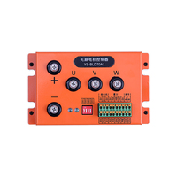 Module de commande double canal RS485 48V pour moteurs à balais et sans balais de tondeuse à gazon