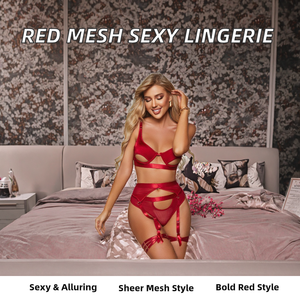 Ensemble de lingerie sexy pour femmes, rouge érotique, jarretelles avec design à trous, contrôle ferme, maille transparente, sous-vêtements sexy - Product Image 2
