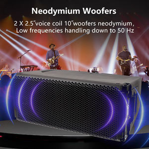 Sistema di Altoparlanti Line Array HDL30AA 10\", Amplificatore <span class=keywords><strong>DSP</strong></span> in Plastica, Subwoofer Professionale Attivo con Doppio Altoparlante da 10 Pollici - Product Image 4