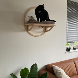 Muebles de pared para gatos que ahorran espacio, estante y cama de escalada con burbujas para gatos de interior - Product Image 6