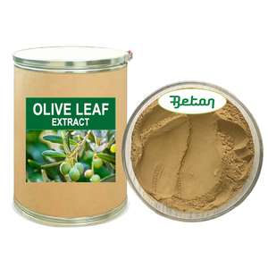 US Warehouse Supply Oleuropein 20% Olive Leaf Extract <strong>Powder</strong> by HPLC - Product Image 1