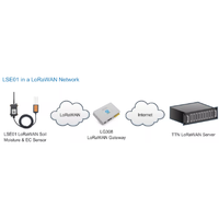 LSE01 LoRaWAN – capteur d'humidité et de température du sol pour Agriculture intelligente