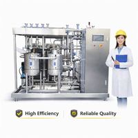 Pasteurisateur à plaques sur mesure 5T 10T 20T en acier inoxydable SU304 pour lait frais, jus et vin, automatique