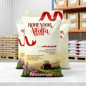 Graines d'alfalfa Medicago Sativa Pureté 99% Min Marque Internationale Kohenoor Durée de Conservation 12 Mois - Product Image 1