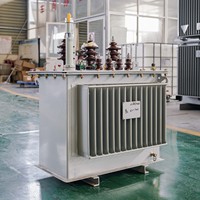 Transformateur abaisseur triphasé haute tension PENGTAI - Immergé dans l'huile - 30 kVA - 2500 kVA - Sortie 480 V - Transformateur haute puissance