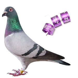 Nuove Anelli Colorati in Alluminio per Zampe di Uccelli, Anelli per Piccioni da Corsa 12mm Impermeabili e Antiurto con Incisione Laser 2025 - Product Image 5