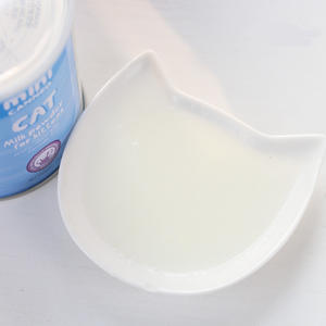 Etiqueta Privada nutritiva para gato, leche en polvo, seca - Product Image 2