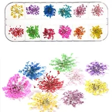 12 couleurs