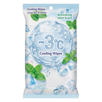 Fournisseur de lingettes rafraîchissantes à marque privée pour voyages, gym, extérieur, usage quotidien, lingettes rafraîchissantes à la menthe, fabricant OEM