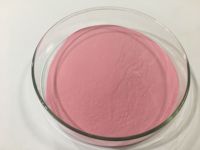 Poudre d'extrait de fruit de fraise Super alimentaire, extrait de jus de fraise naturel en poudre