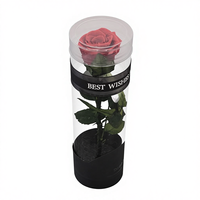 Rose unique naturelle préservée de haute qualité, faite à la main, véritable, longue durée, immortelle, éternelle, roses préservées avec tige