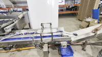 Machines d'emballage de haute précision, peseuse multi-têtes pour machine d'emballage de boîtes de myrtilles
