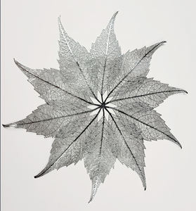 Manteles individuales de forma de diseño Irregular de Venta caliente de fábrica antideslizantes impermeables Pvc Mantel Individual para mesa de comedor - Product Image 5