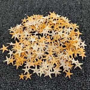 1000 pz/borsa Real Mini Small Nail Charm Sticker stelle di sabbia di mare essiccate per unghie - Product Image 2