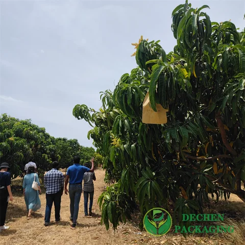 Banana Mango Growing Cover Bag Wax Paper Fruit Packaging Bags