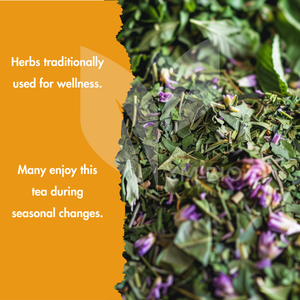 <span class=keywords><strong>Tisana</strong></span> <span class=keywords><strong>di</strong></span> difesa personalizzata con sambuco per miscela <span class=keywords><strong>di</strong></span> tè Echinacea a resistenza naturale - Product Image 5
